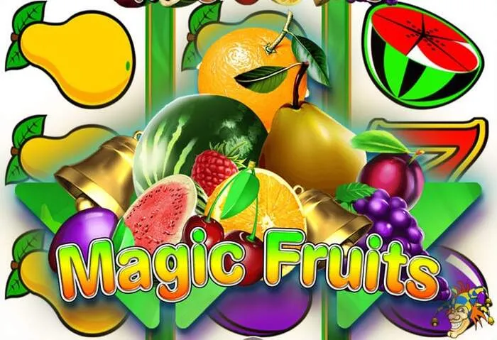 Opzioni di transazione sicure e affidabili Platinumslots Casino
