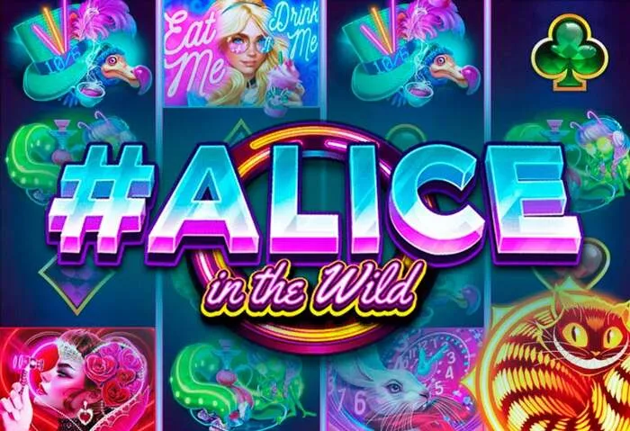 Recensione giochi live dealer Platinumslots Casino: esperienza con croupier reali.