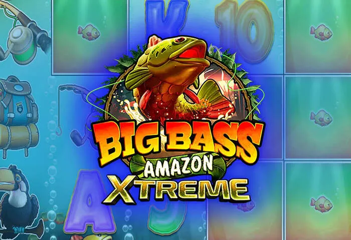 Comprendi i Requisiti di Scommessa e Termini Bonus per Platinumslots Casino.