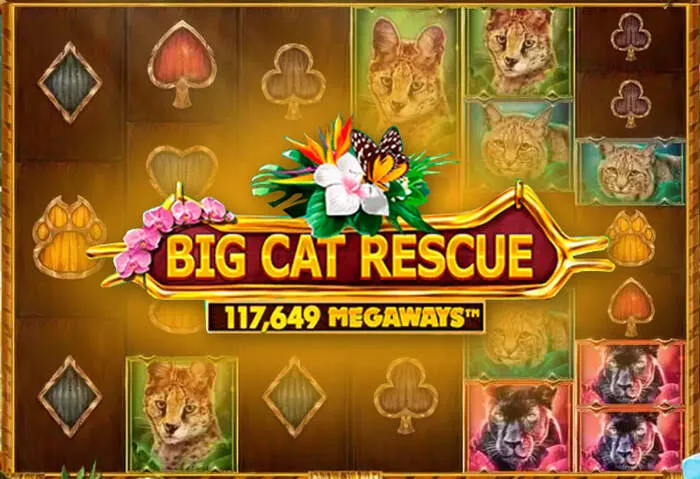 Review of Platinumslots Casino's high-quality live roulette experience