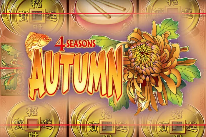 Platinumslots Casino Zahlungsmethoden: Ein- und Auszahlungen sicher abwickeln